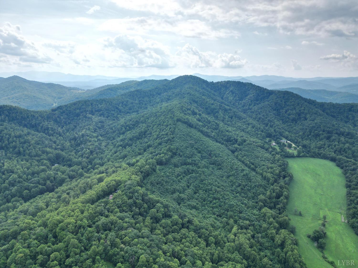 65-acres Lavender Lane Amherst, VA 24521 - Photo 42 of 48 a view of a lush green forest with lots of trees