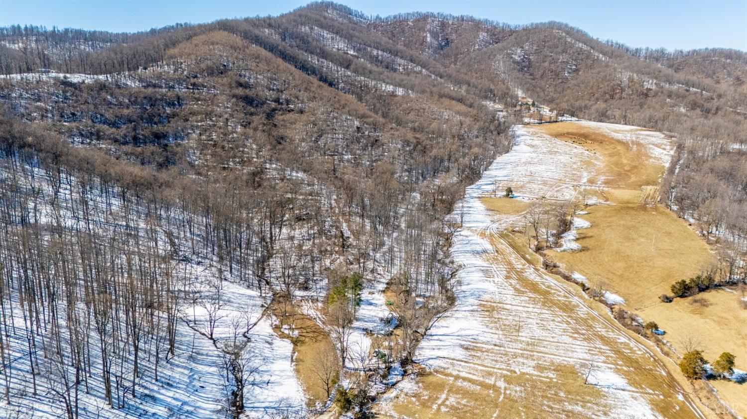 65-acres Lavender Lane Amherst, VA 24521 - Photo 46 of 48 a view of a large tree with mountains in the background