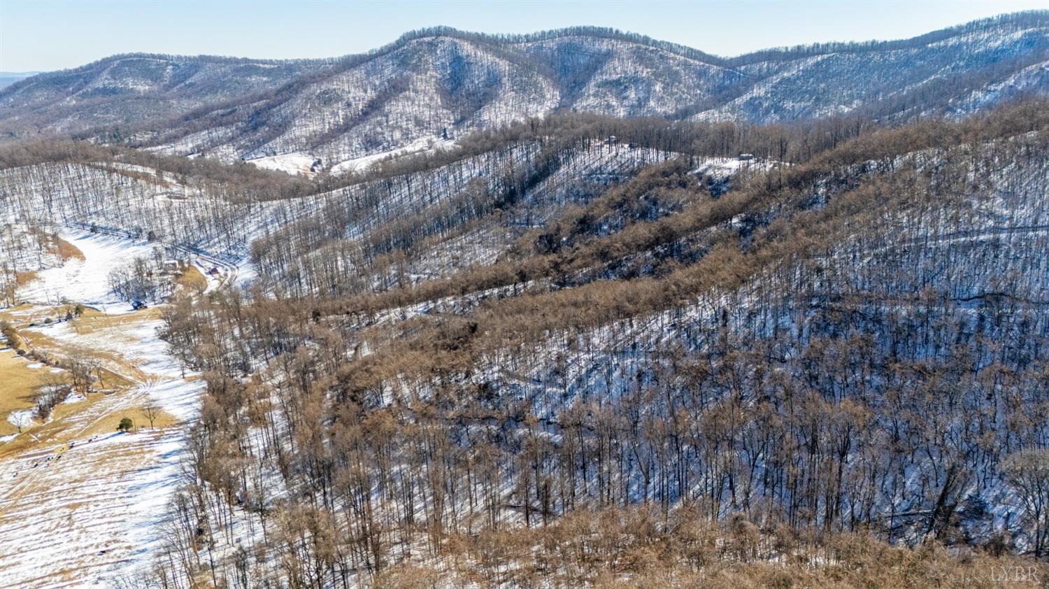 65-acres Lavender Lane Amherst, VA 24521 - Photo 48 of 48 a view of a house with a mountain view