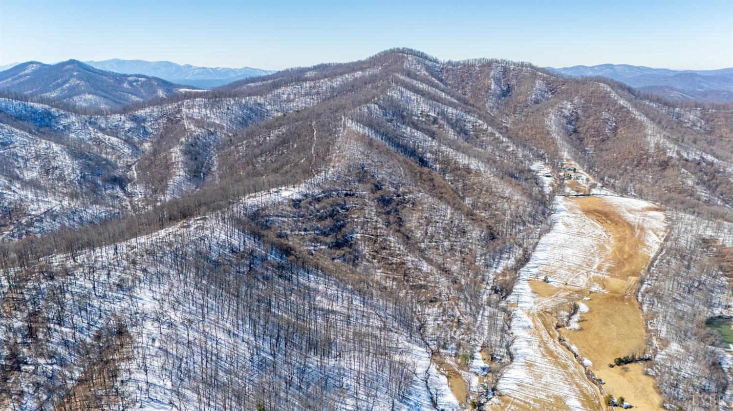 65-acres Lavender Lane Amherst, VA 24521 - Photo 5 of 48 a view of a large tree