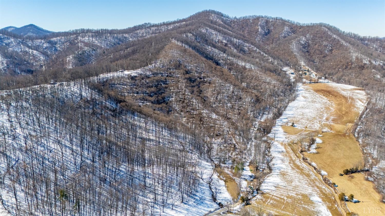 65-acres Lavender Lane Amherst, VA 24521 - Photo 7 of 48 a view of a house with a mountain