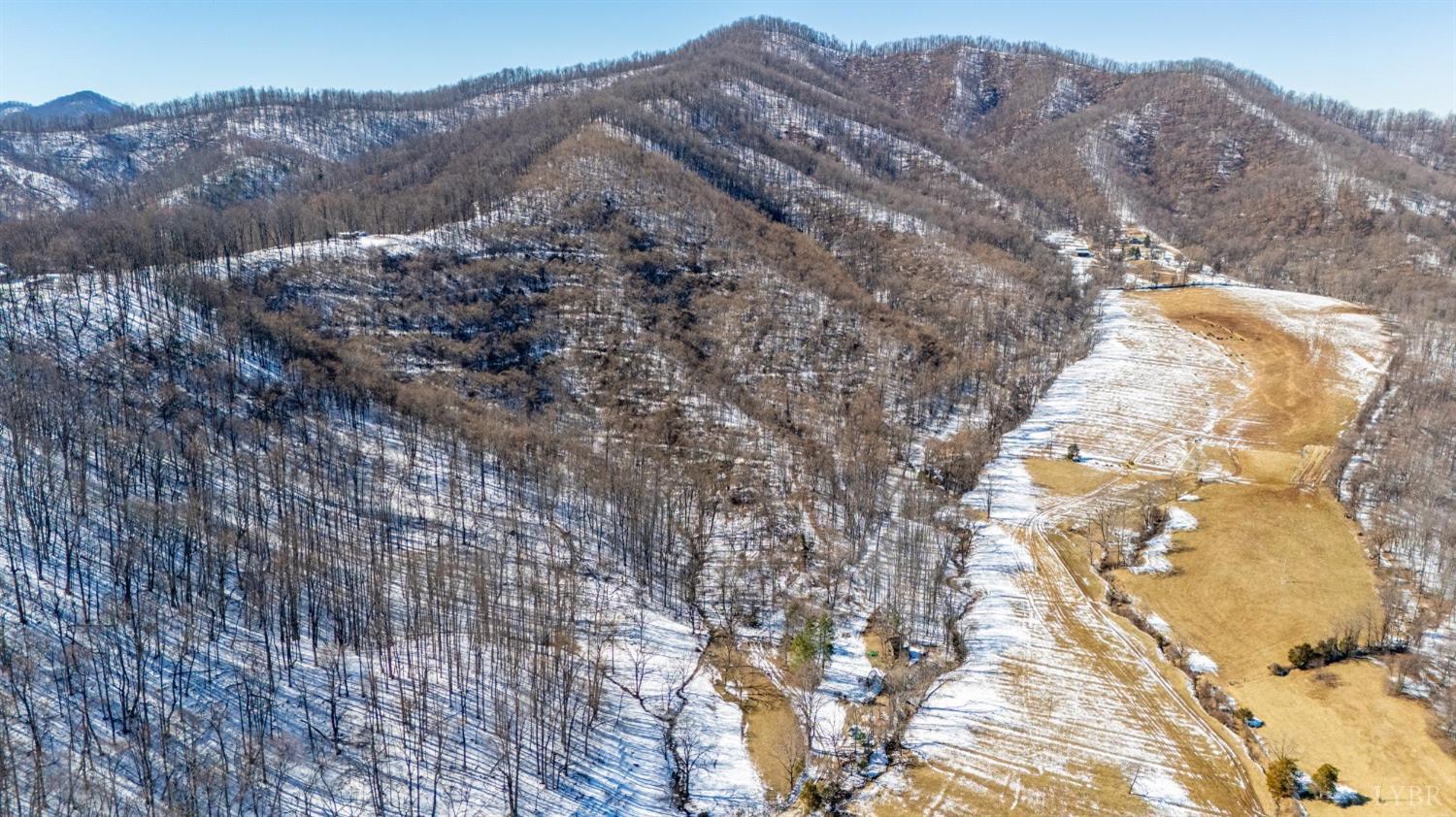 65-acres Lavender Lane Amherst, VA 24521 - Photo 8 of 48