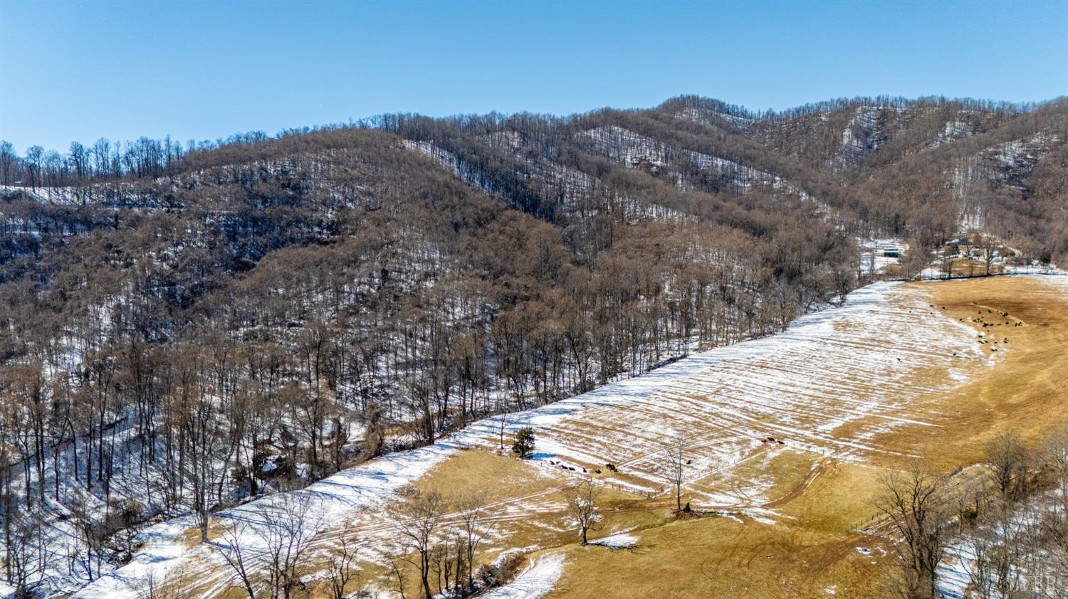 65-acres Lavender Lane Amherst, VA 24521 - Photo 10 of 48 a view of a backyard of snow
