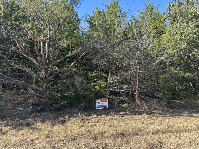 a view of street sign