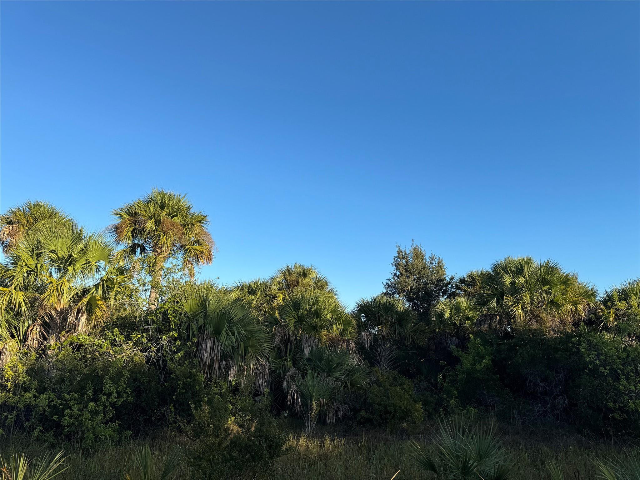 2025 Cabbage Lane Okeechobee, FL 34974 - Photo 1 of 10 a view of a lake