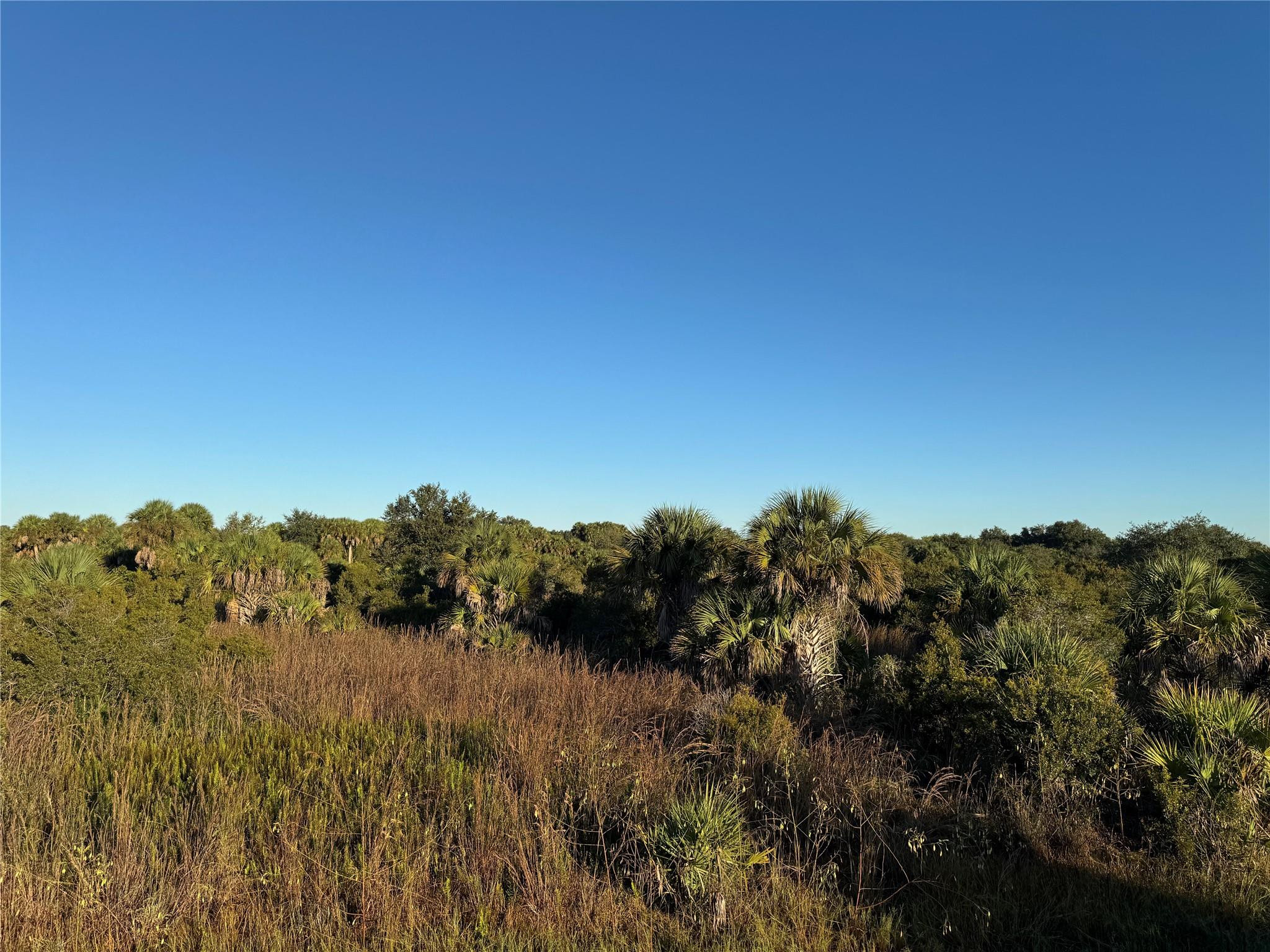 2025 Cabbage Lane Okeechobee, FL 34974 - Photo 3 of 10 a view of a lake