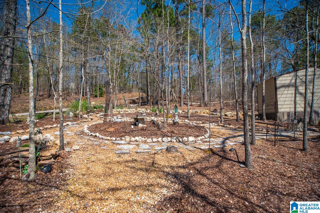 282 Traweek Lane Pell City, AL 35128 - Photo 47 of 50
