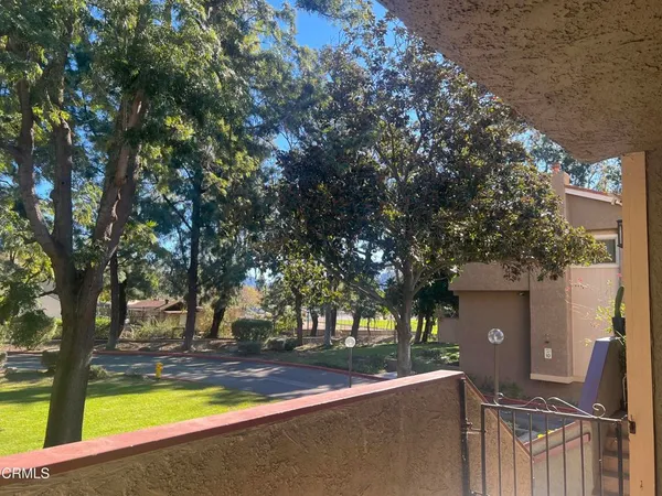 a view of a yard with a tree