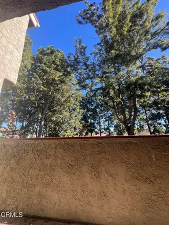 a view of lot of trees