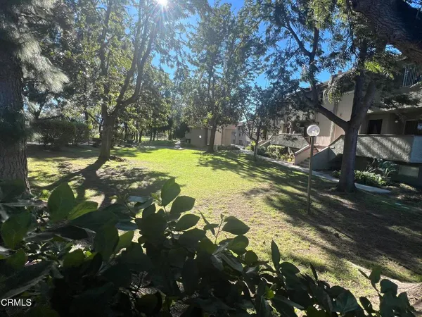 a view of yard with tree