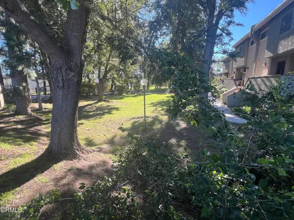 a view of a yard with plants and large trees