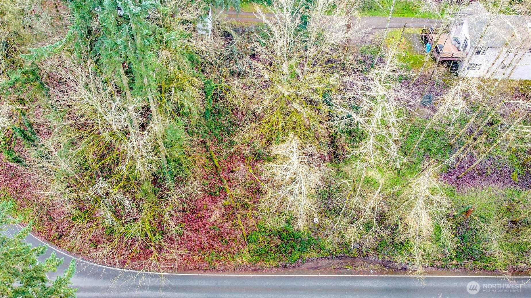 2415 Northeast 178th Street Shoreline, WA 98155 - Photo 5 of 12 a view of a yard