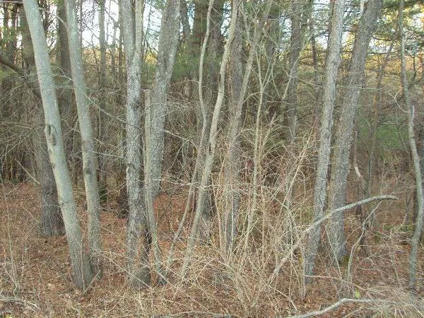 $19,900 | 0 Winney Hill Road, Oneonta, NY 13820
