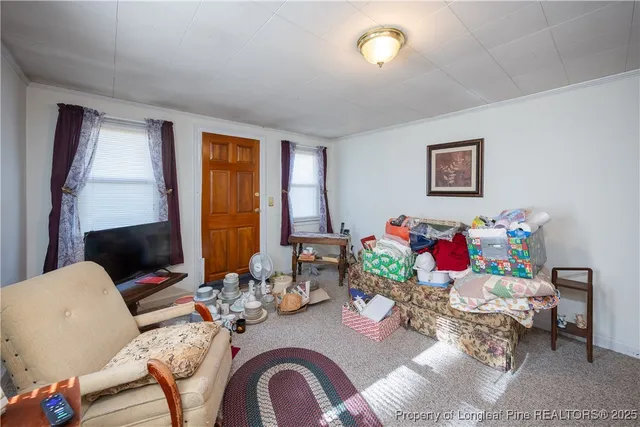 a living room with furniture flowerpot and a window