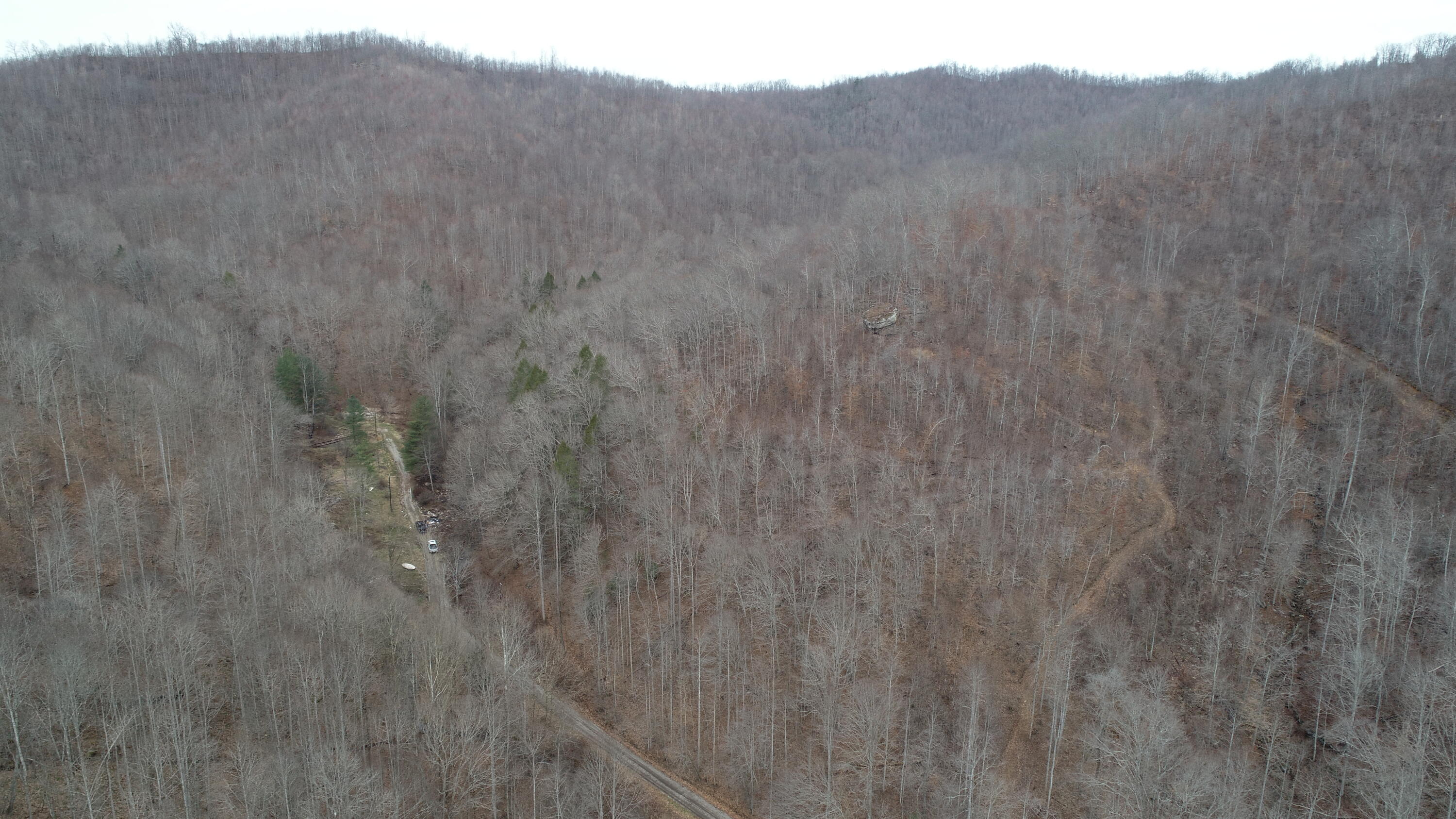 9999 Henry Branch Rd Flat Walker, KY 40997 - Photo 6 of 14 DJI_0400
