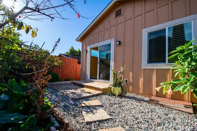 a backyard of a house with potted plants and large tree