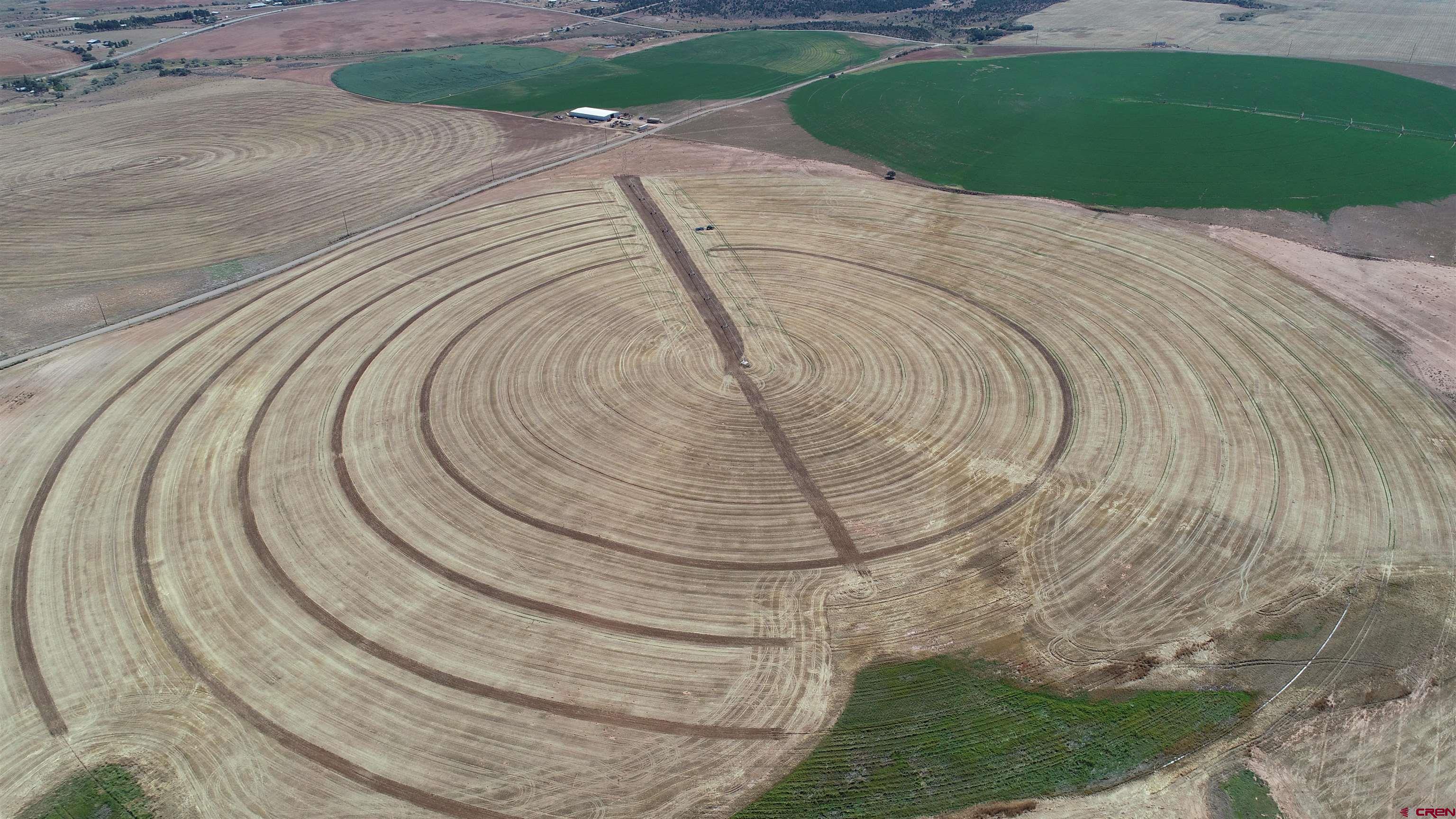 14810 Rd CC Pleasant View, CO 81331 - Photo 11 of 11 a swimming pool with outdoor space