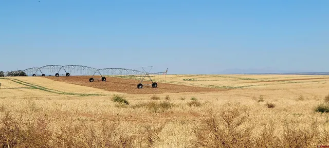 a view of a swimming pool and an outdoor space