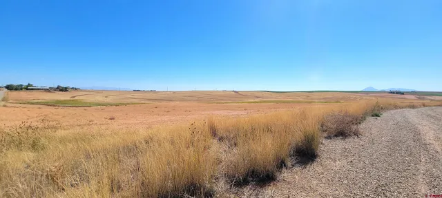 a view of an ocean beach