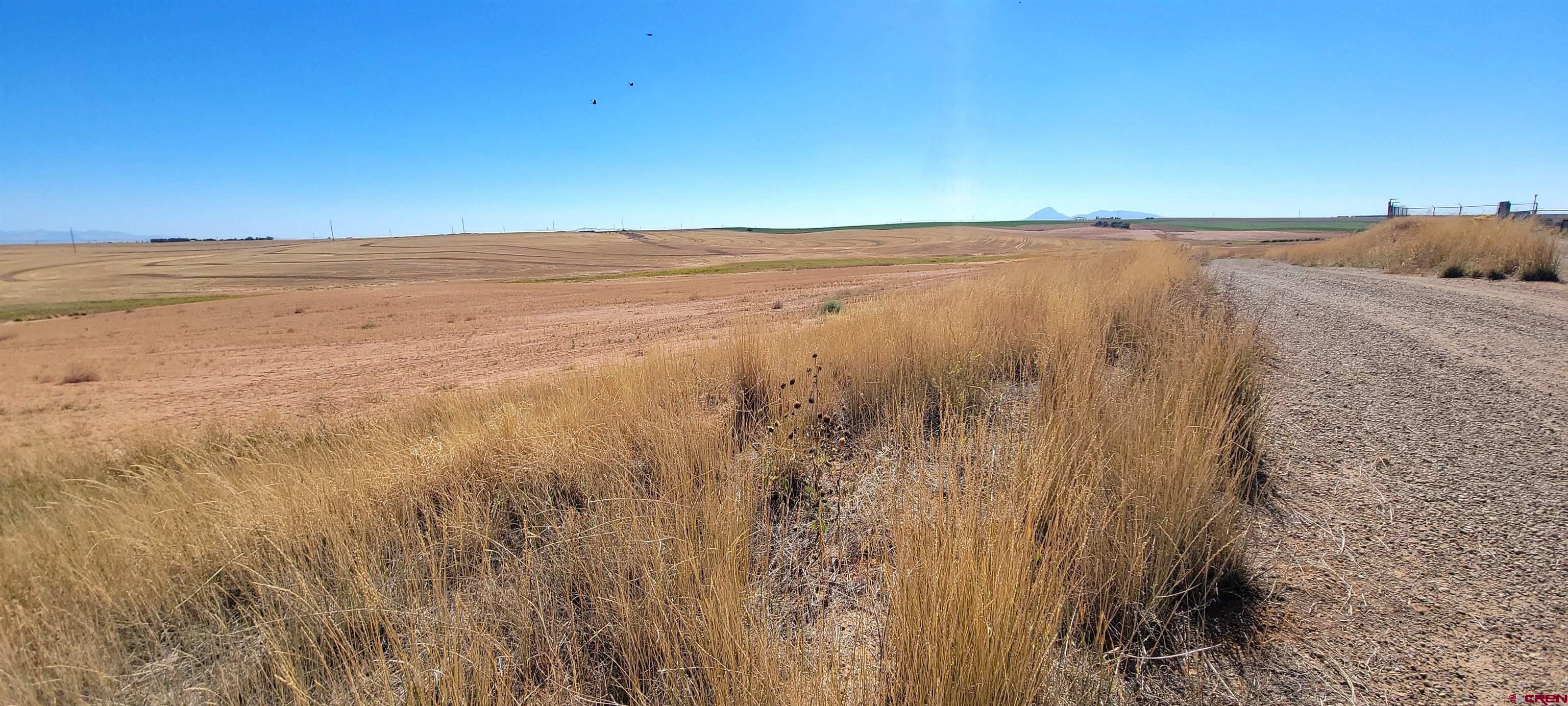 14810 Rd CC Pleasant View, CO 81331 - Photo 5 of 11 a view of ocean view with beach