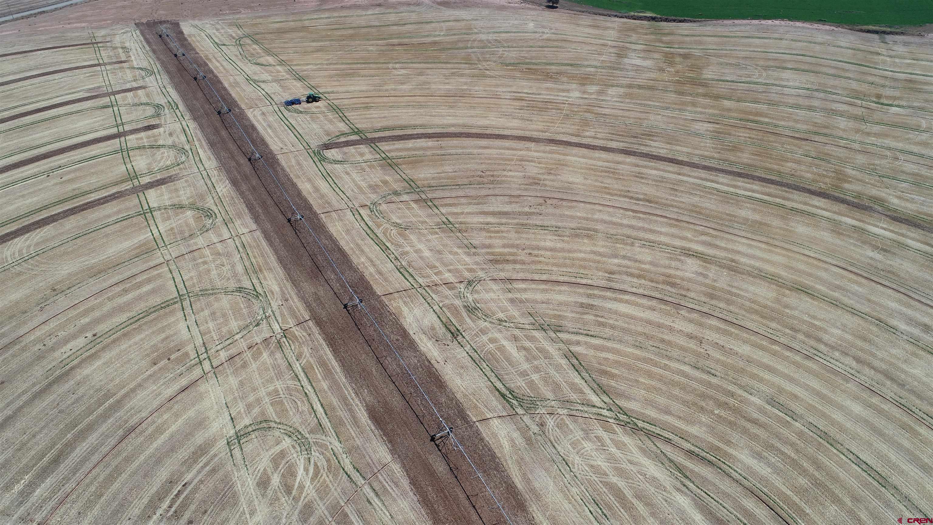 14810 Rd CC Pleasant View, CO 81331 - Photo 8 of 11