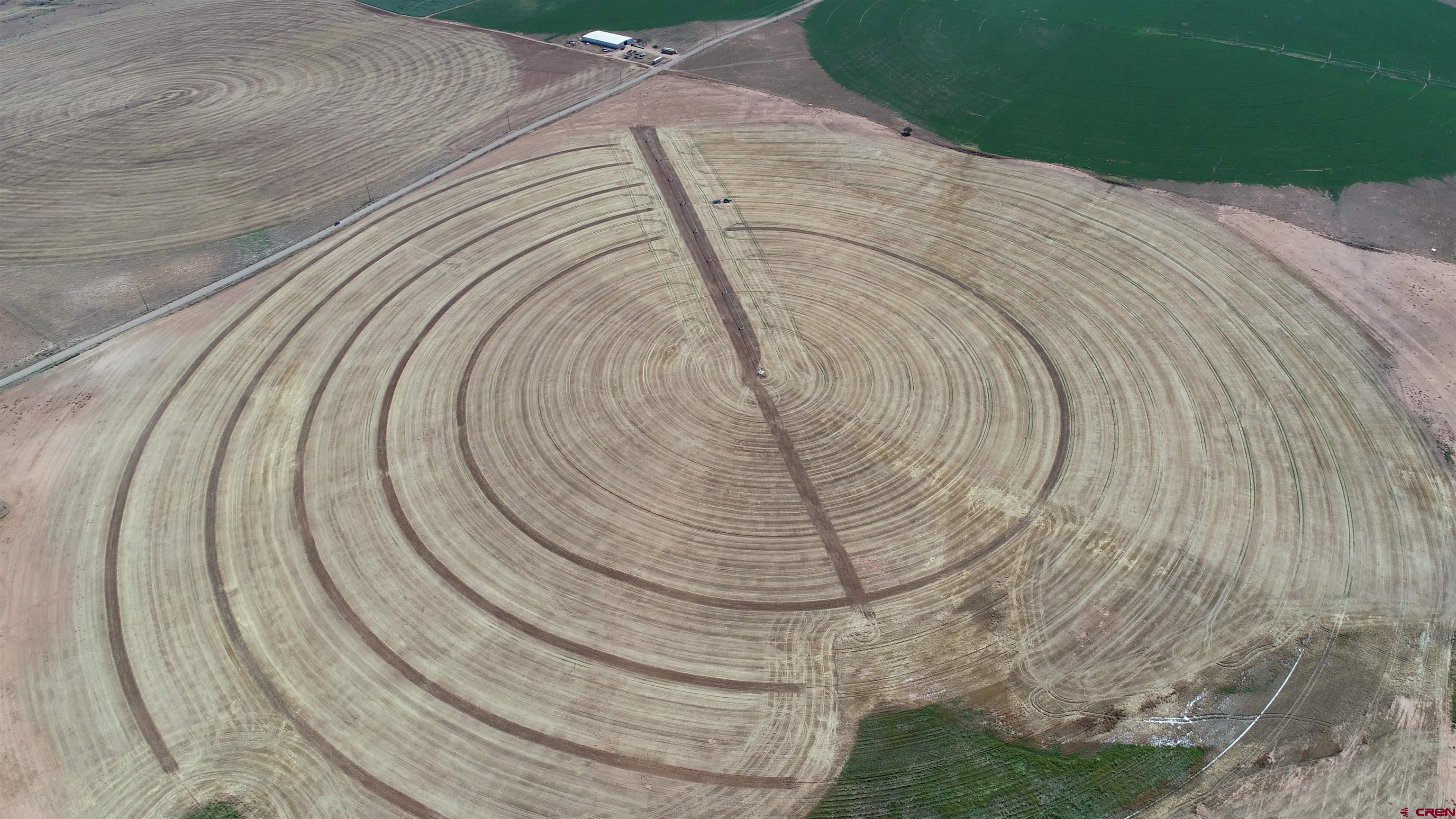 14810 Rd CC Pleasant View, CO 81331 - Photo 10 of 11