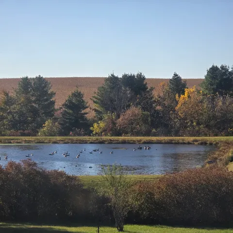 a view of ocean view with beach