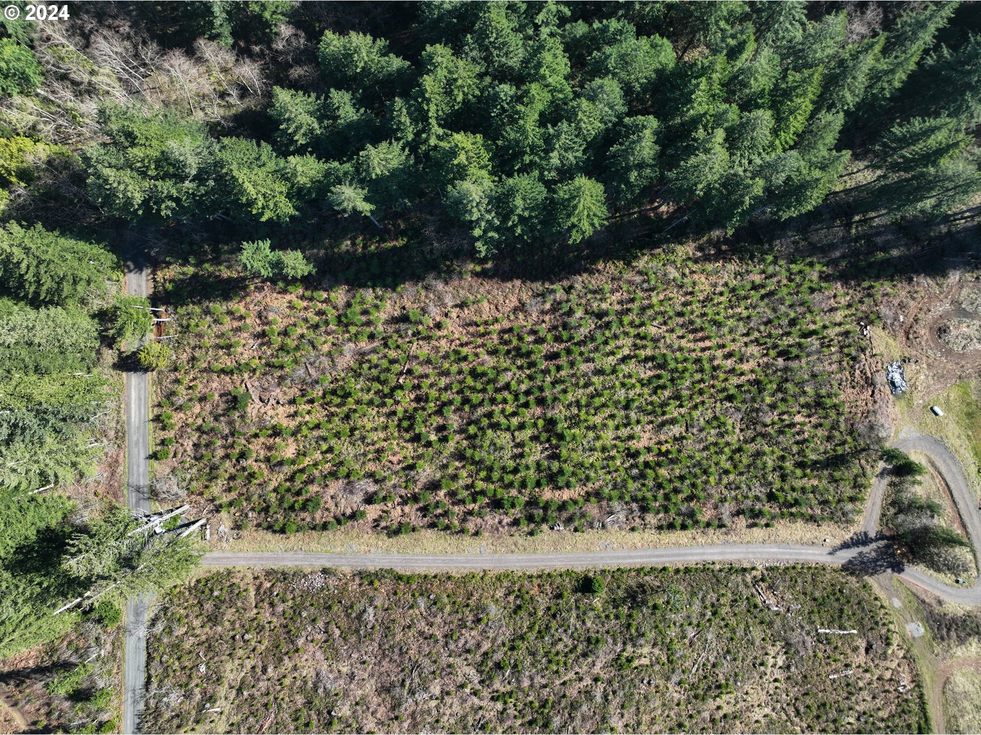 Northeast 94th Street Camas, WA 98607 - Photo 13 of 19