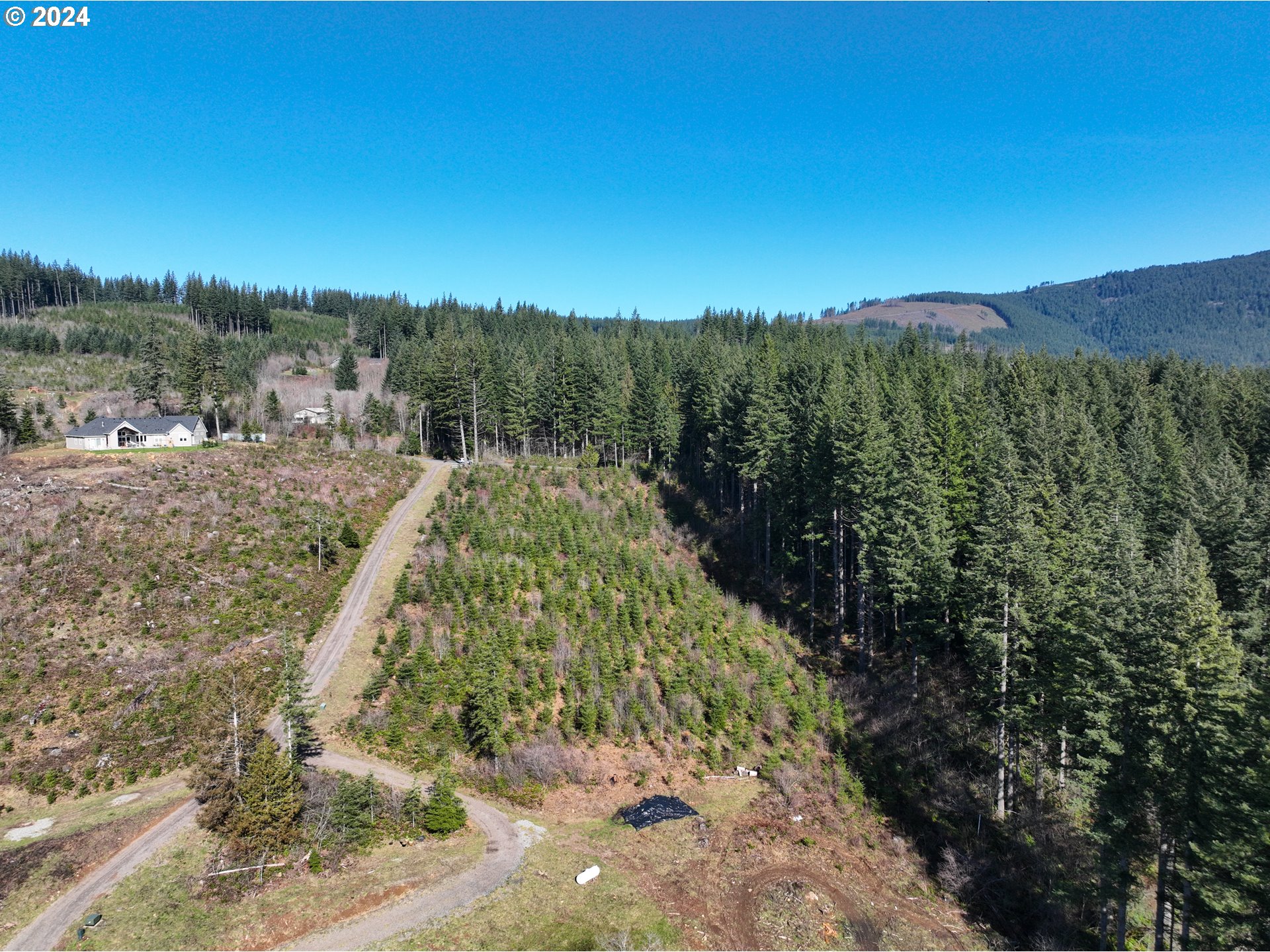 Northeast 94th Street Camas, WA 98607 - Photo 14 of 19