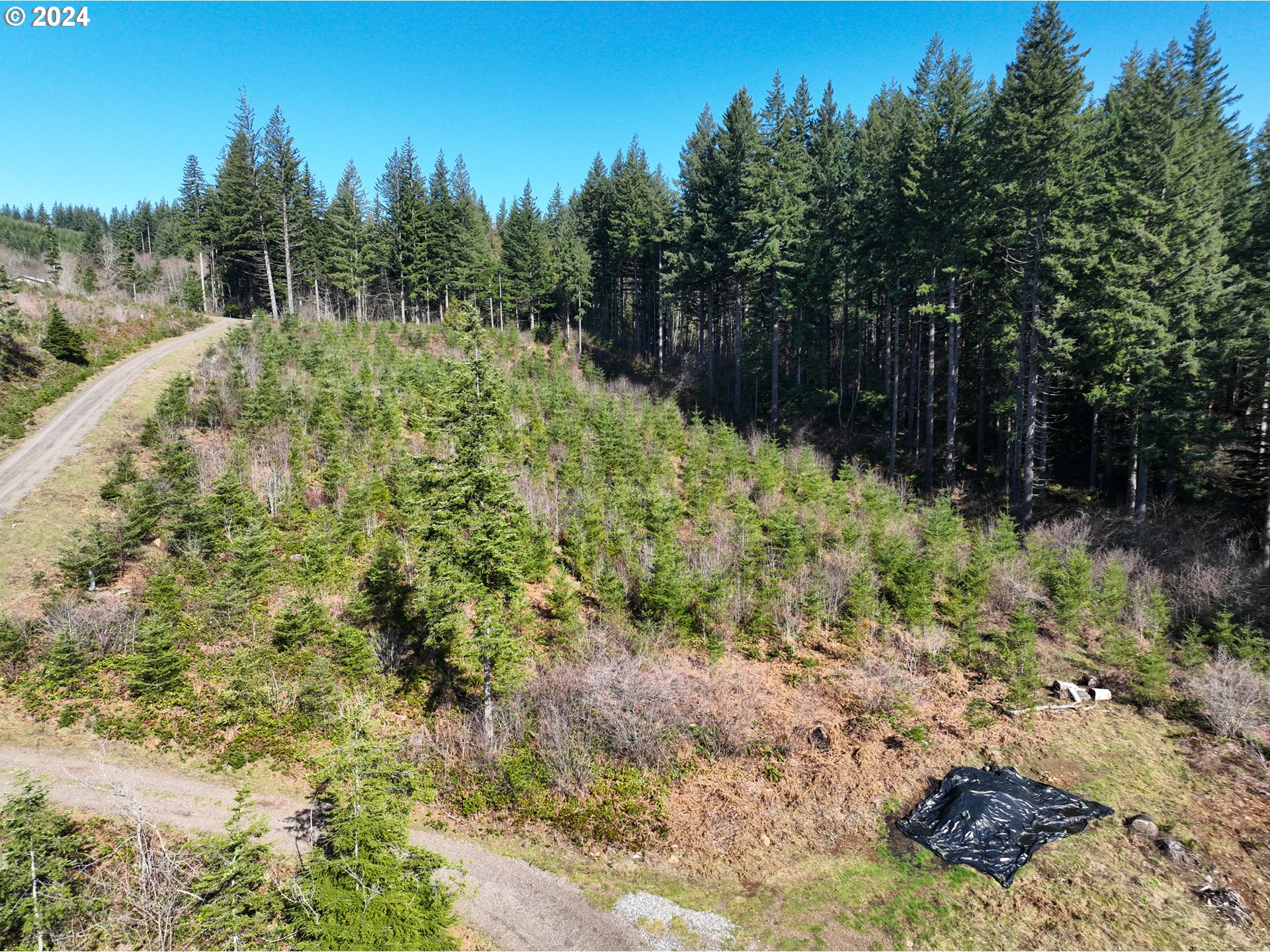 Northeast 94th Street Camas, WA 98607 - Photo 17 of 19