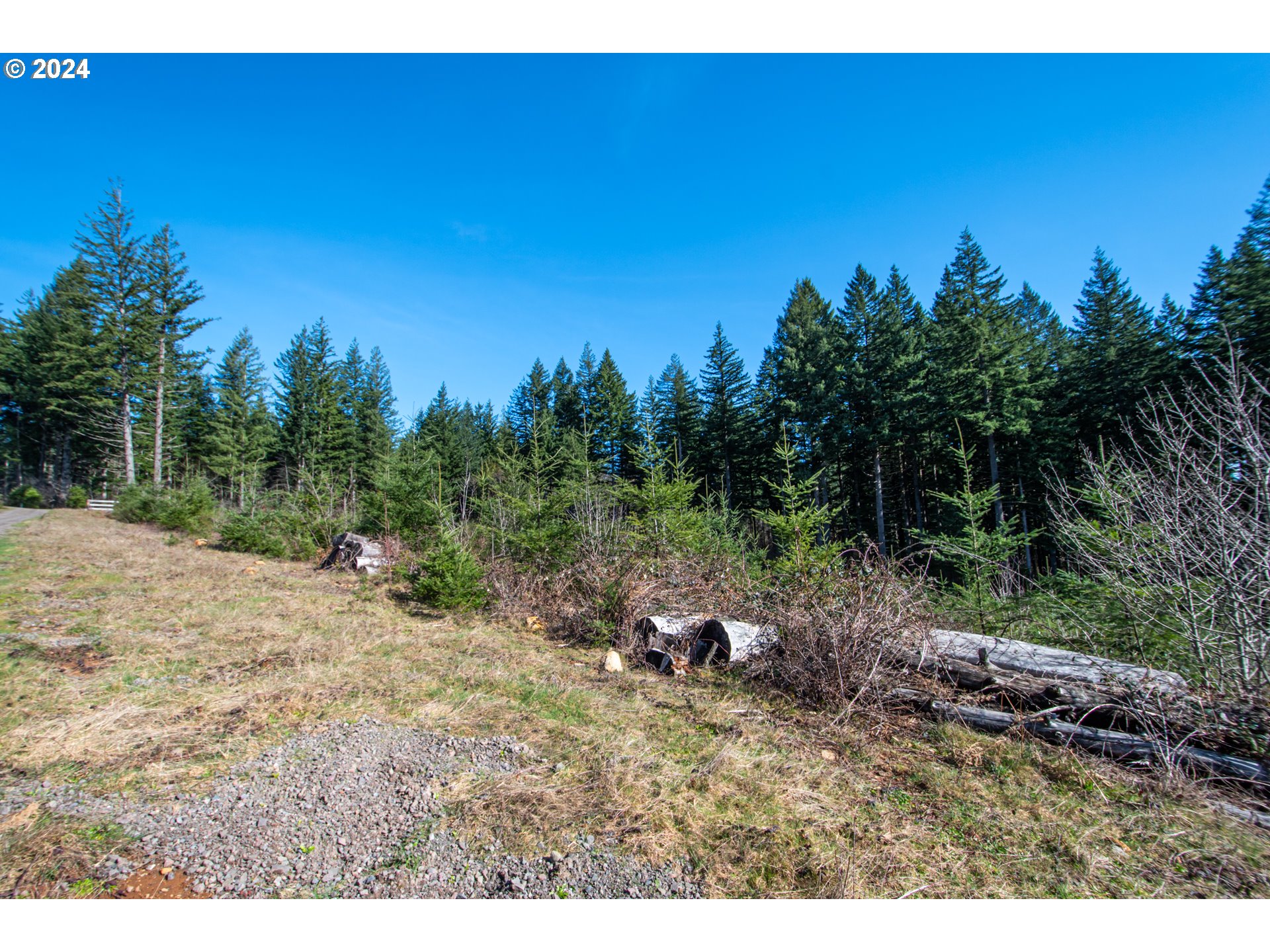 Northeast 94th Street Camas, WA 98607 - Photo 18 of 19