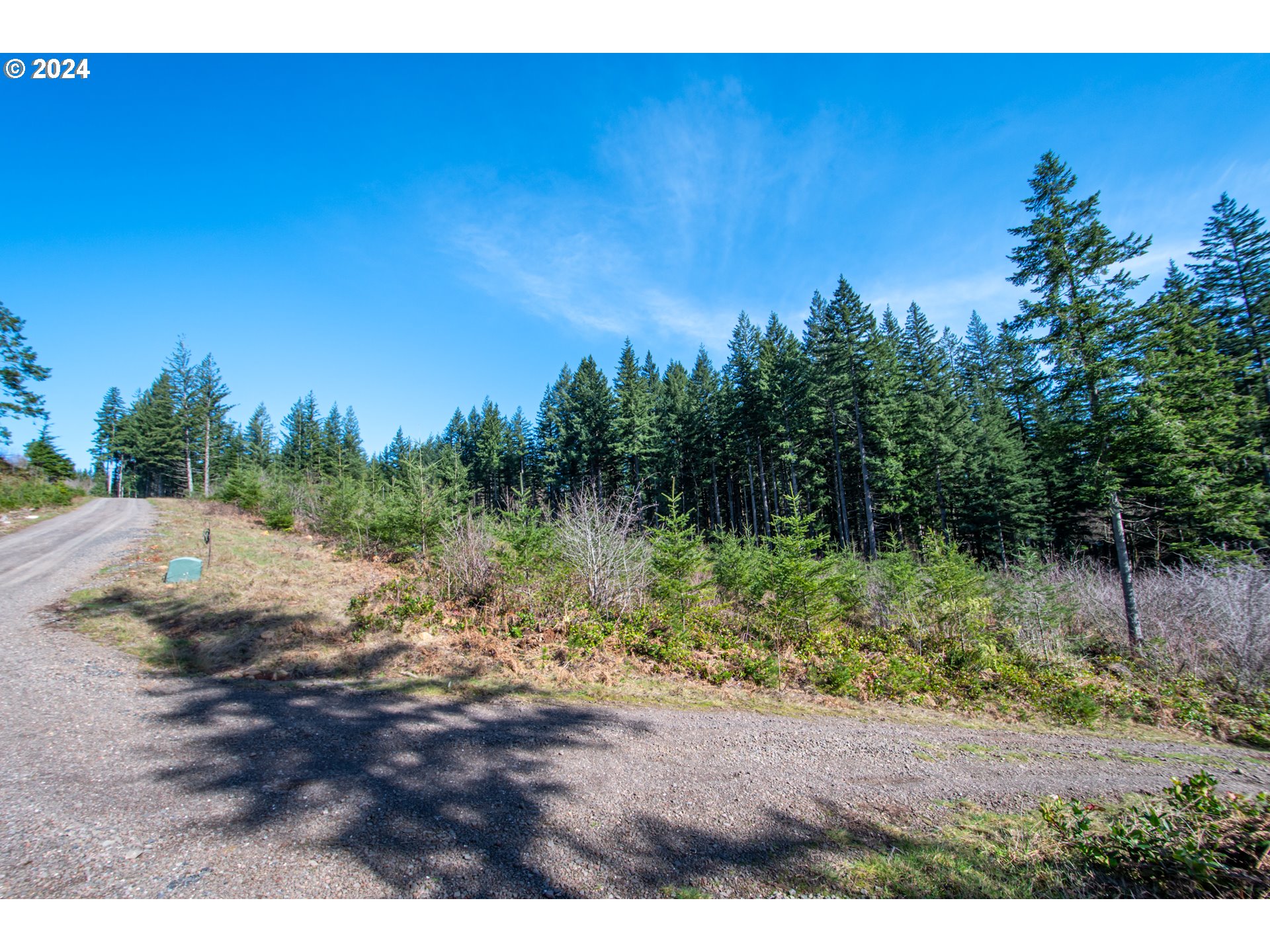 Northeast 94th Street Camas, WA 98607 - Photo 19 of 19