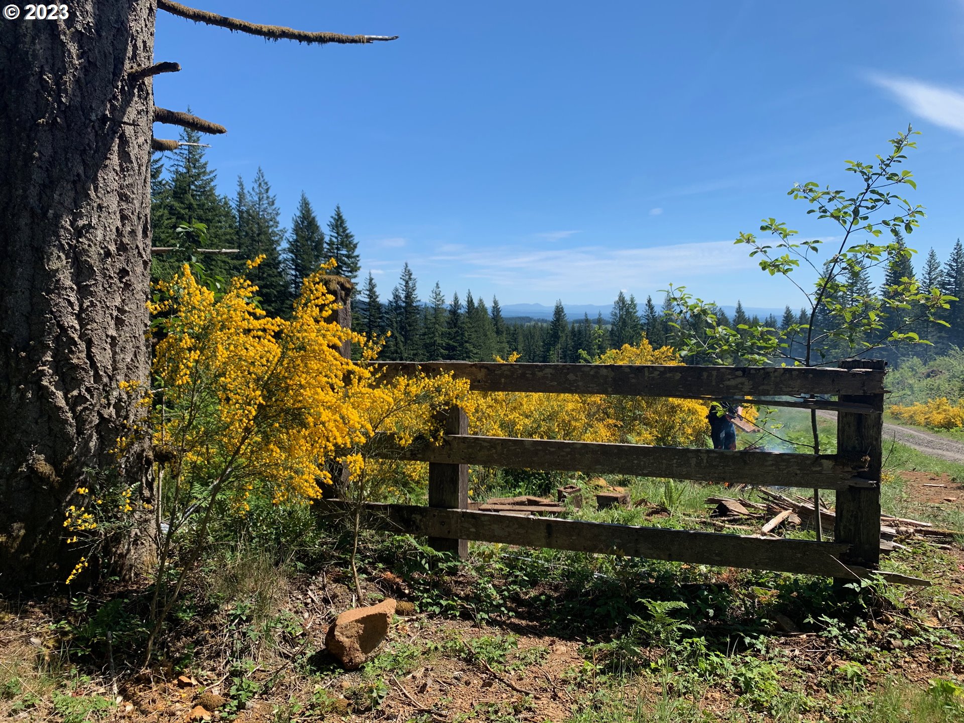 Northeast 94th Street Camas, WA 98607 - Photo 4 of 19