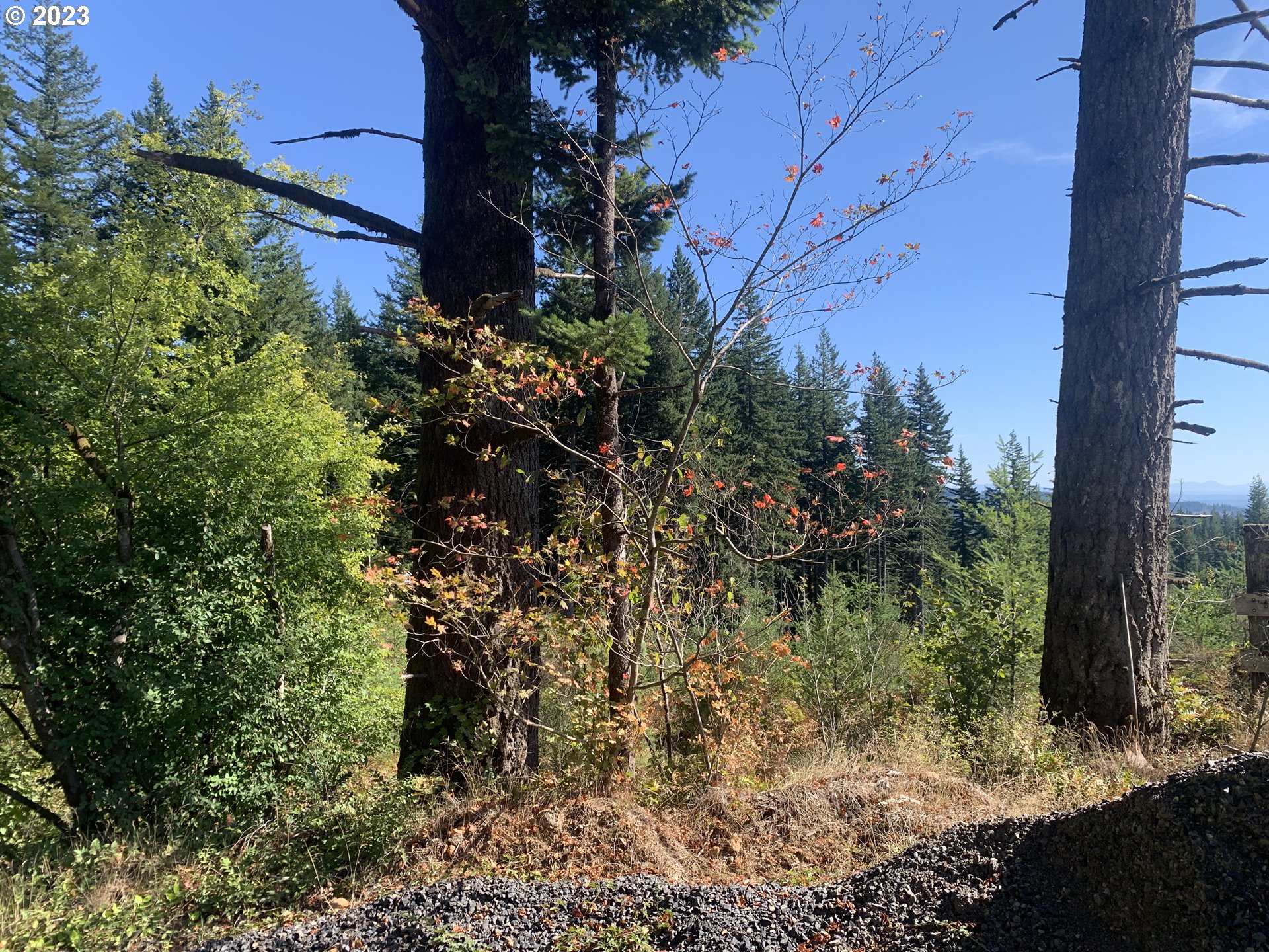 Northeast 94th Street Camas, WA 98607 - Photo 5 of 19