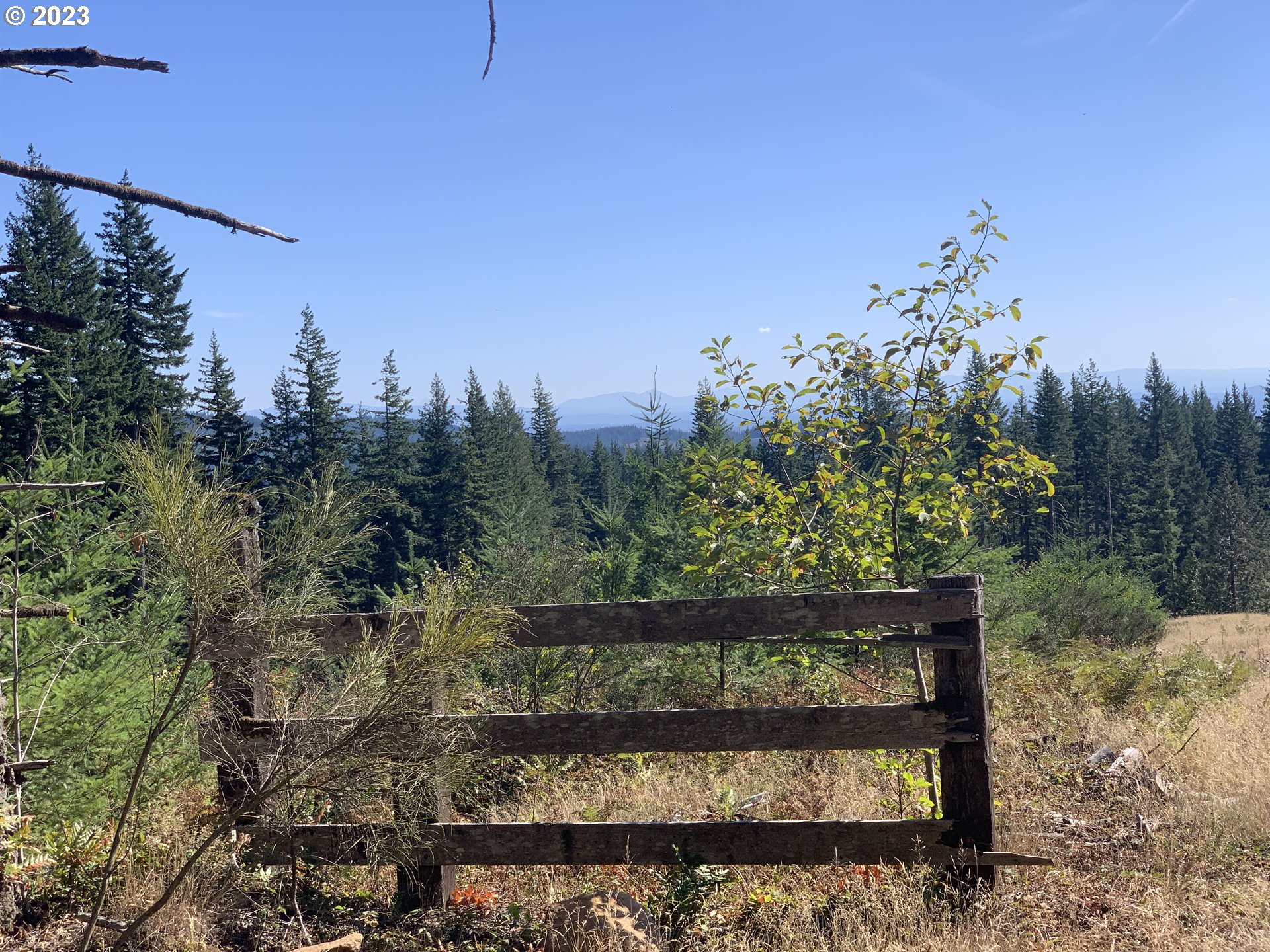 Northeast 94th Street Camas, WA 98607 - Photo 6 of 19