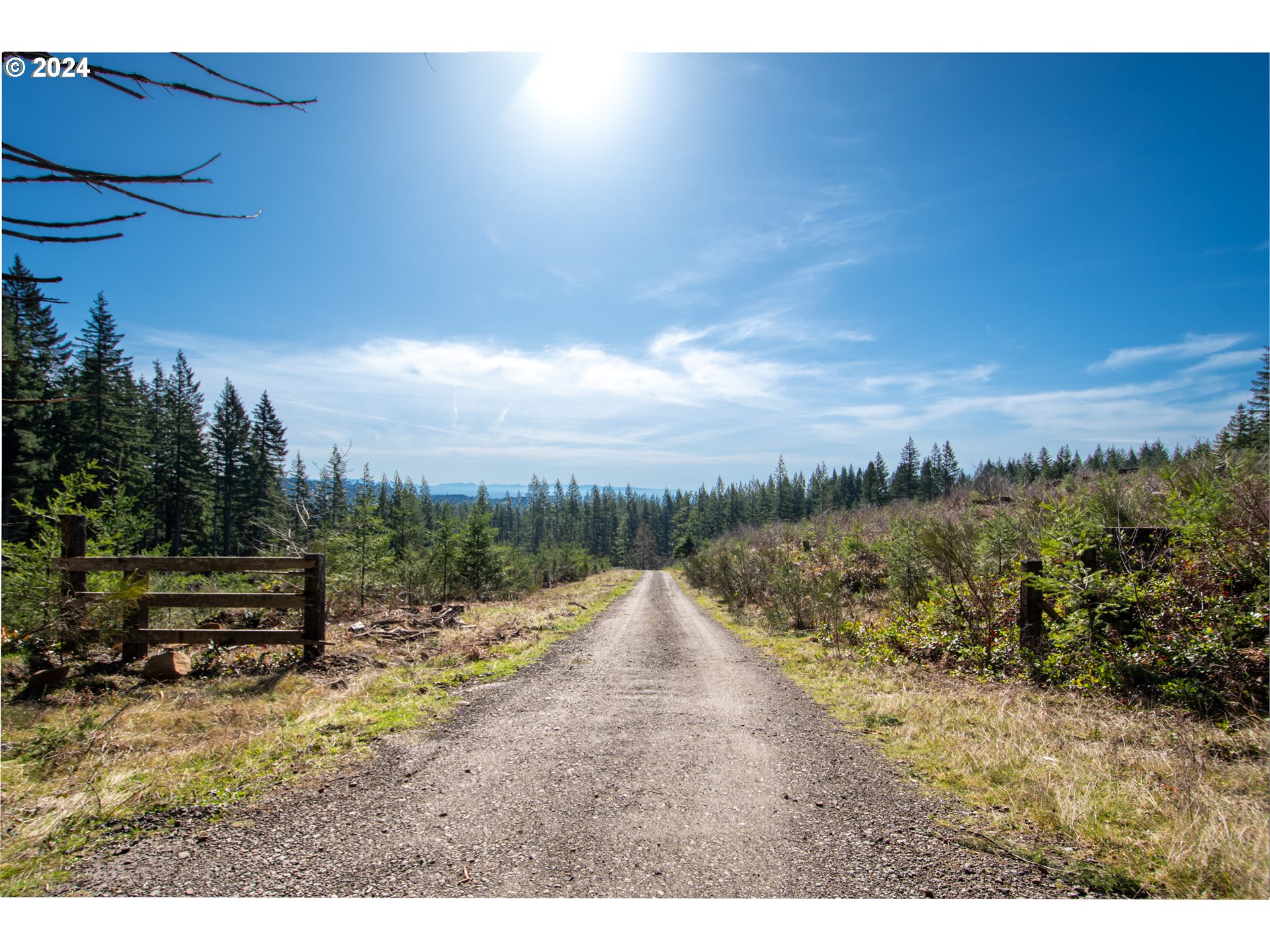 Northeast 94th Street Camas, WA 98607 - Photo 8 of 19