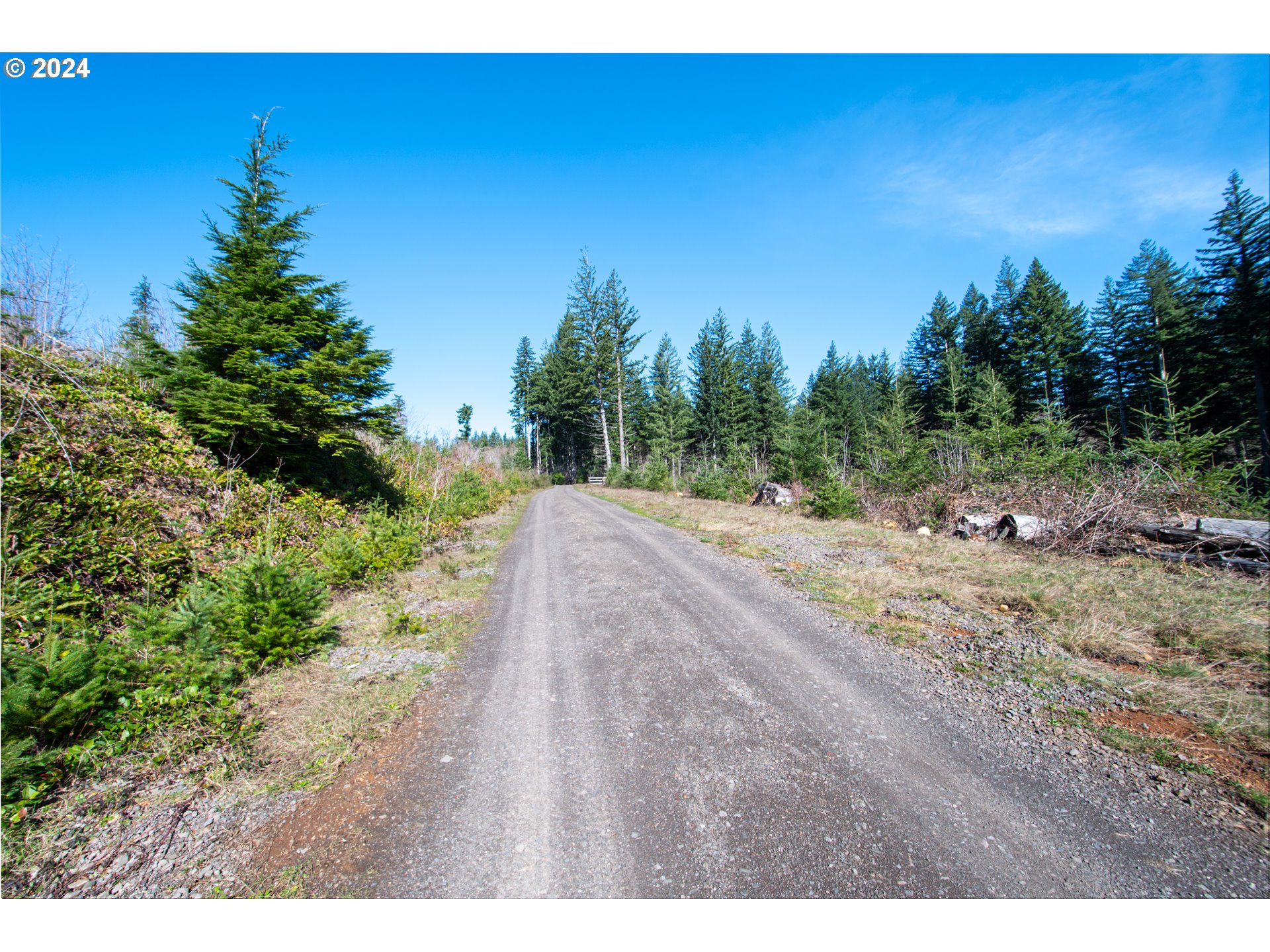 Northeast 94th Street Camas, WA 98607 - Photo 10 of 19
