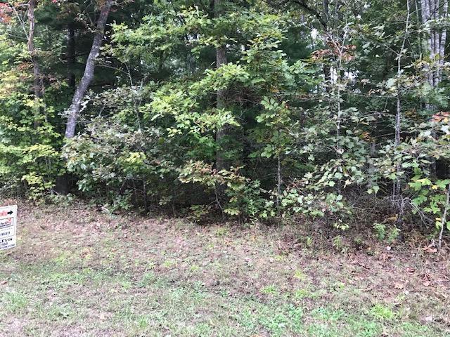 West Ridge Road Allardt, TN 38504 - Photo 2 of 8 IMG_7059