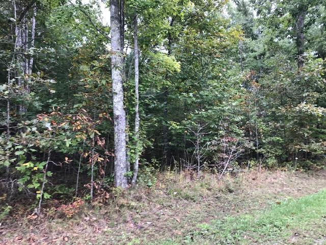 West Ridge Road Allardt, TN 38504 - Photo 3 of 8 IMG_7062