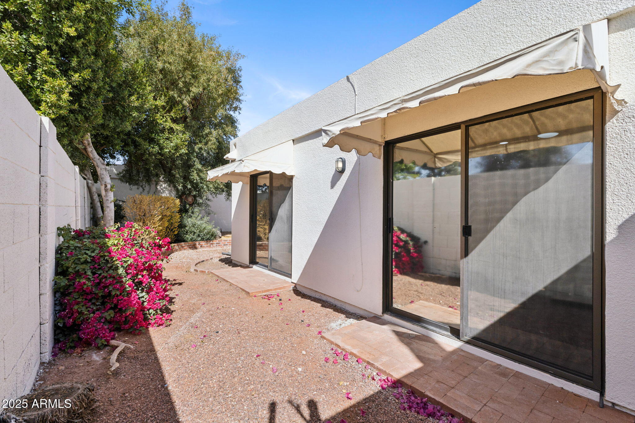 5310 North 24th Place Phoenix, AZ 85016 - Photo 35 of 35 a view of a potted plants next to a yard