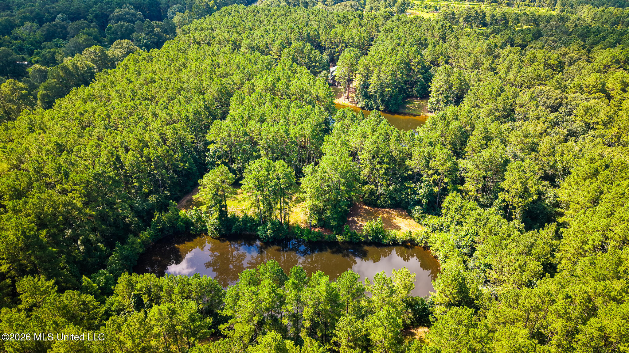 3181 Centerville Road Magnolia, MS 39652 - Photo 46 of 53 IMG_9222