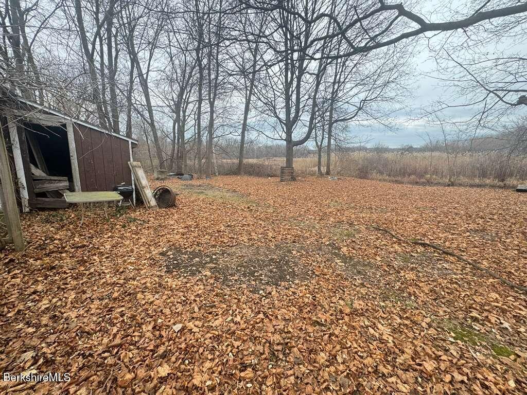 64 King Street Pittsfield, MA 01201 - Photo 7 of 26 Backyard