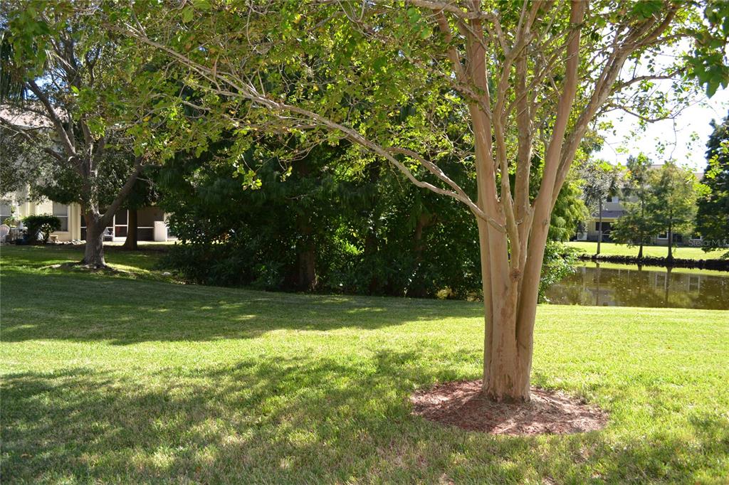 11135 Kapok Grand Circle Madeira Beach, FL 33708 - Photo 24 of 68