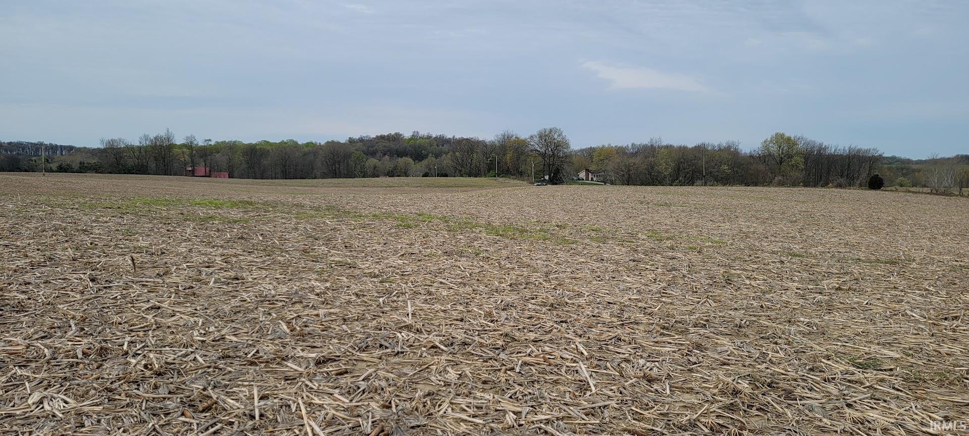 Lot#1 Bledsoe Loogootee, IN 47553 - Photo 5 of 12