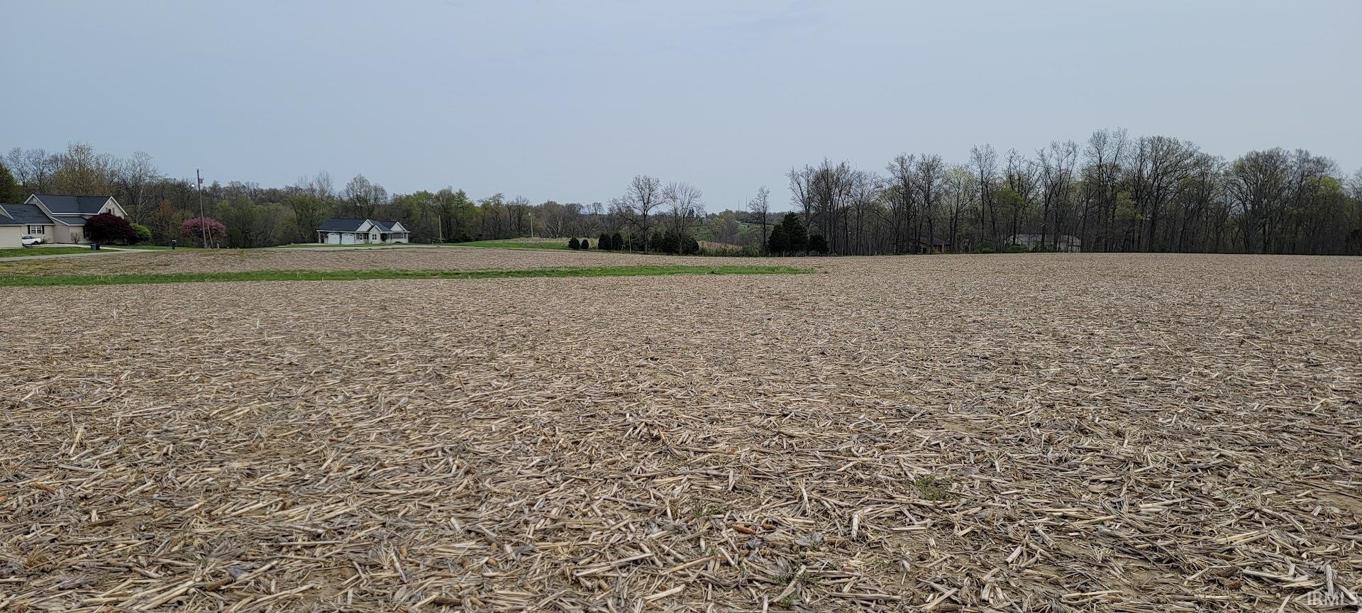 Lot#1 Bledsoe Loogootee, IN 47553 - Photo 6 of 12