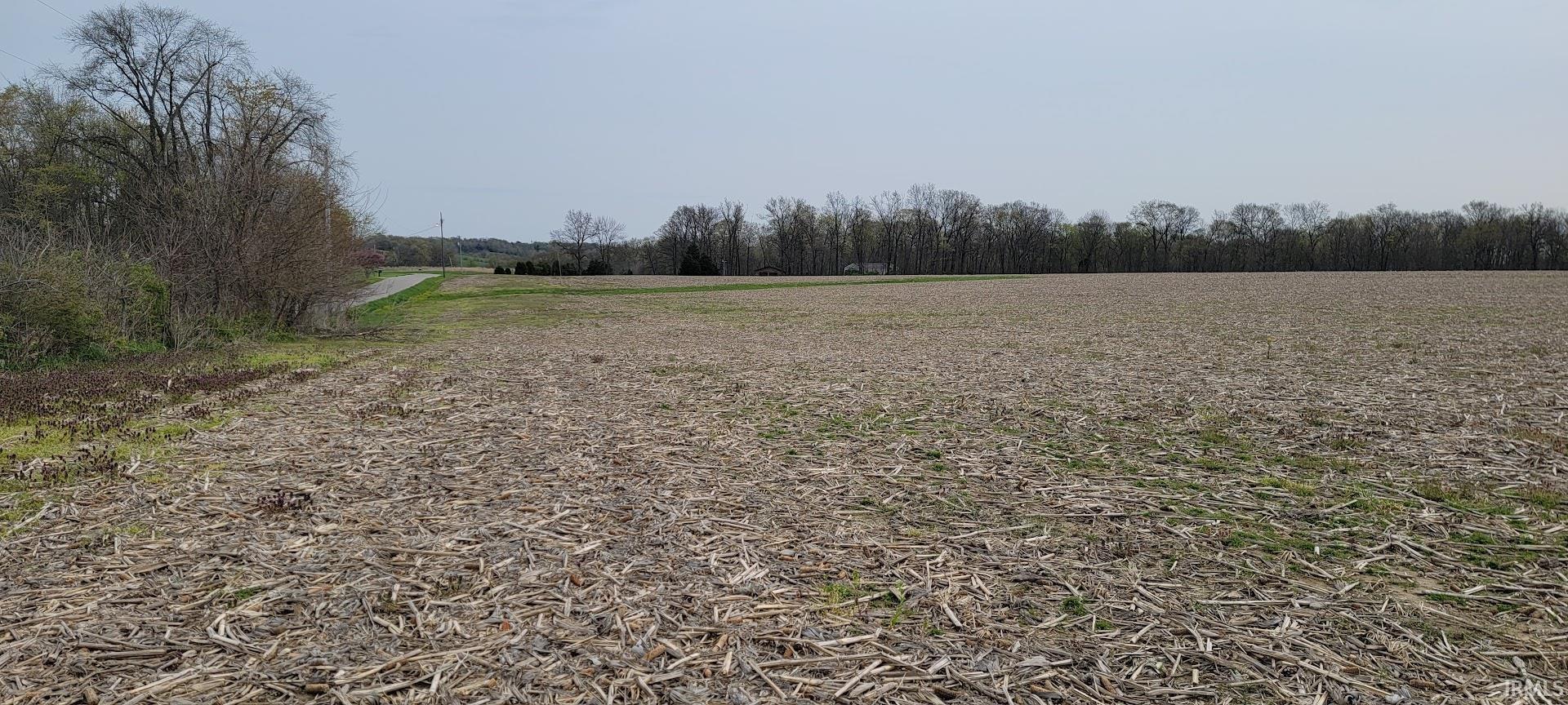 Lot#1 Bledsoe Loogootee, IN 47553 - Photo 8 of 12