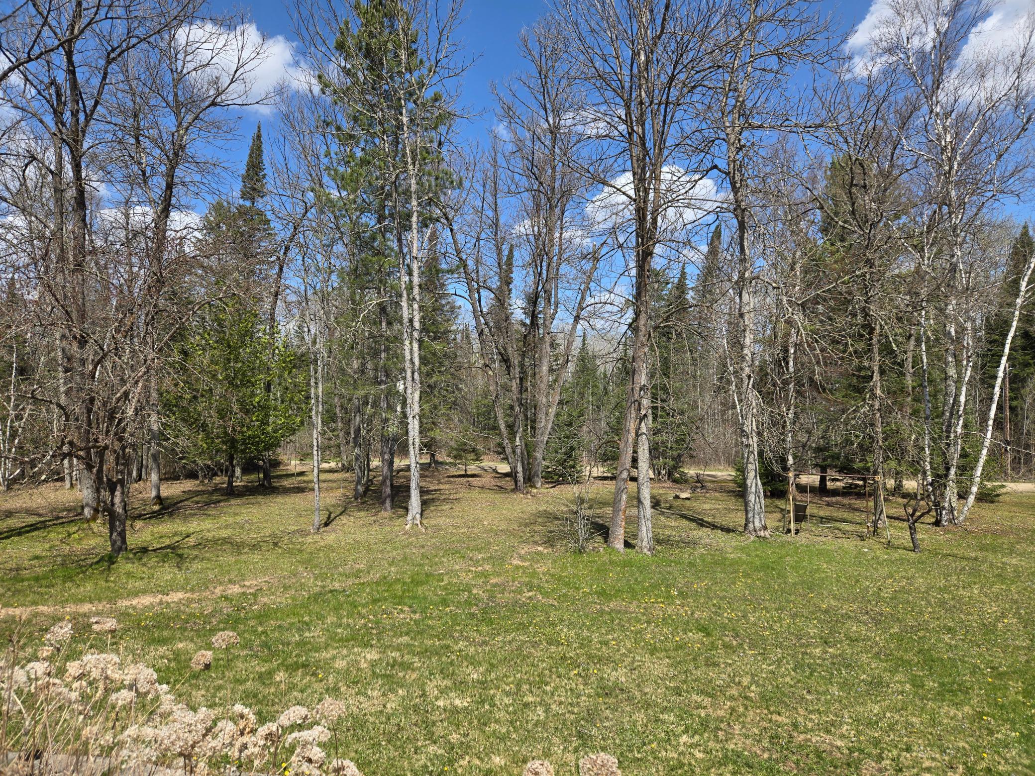 37373 Hanson Road Bigfork, MN 56628 - Photo 25 of 65