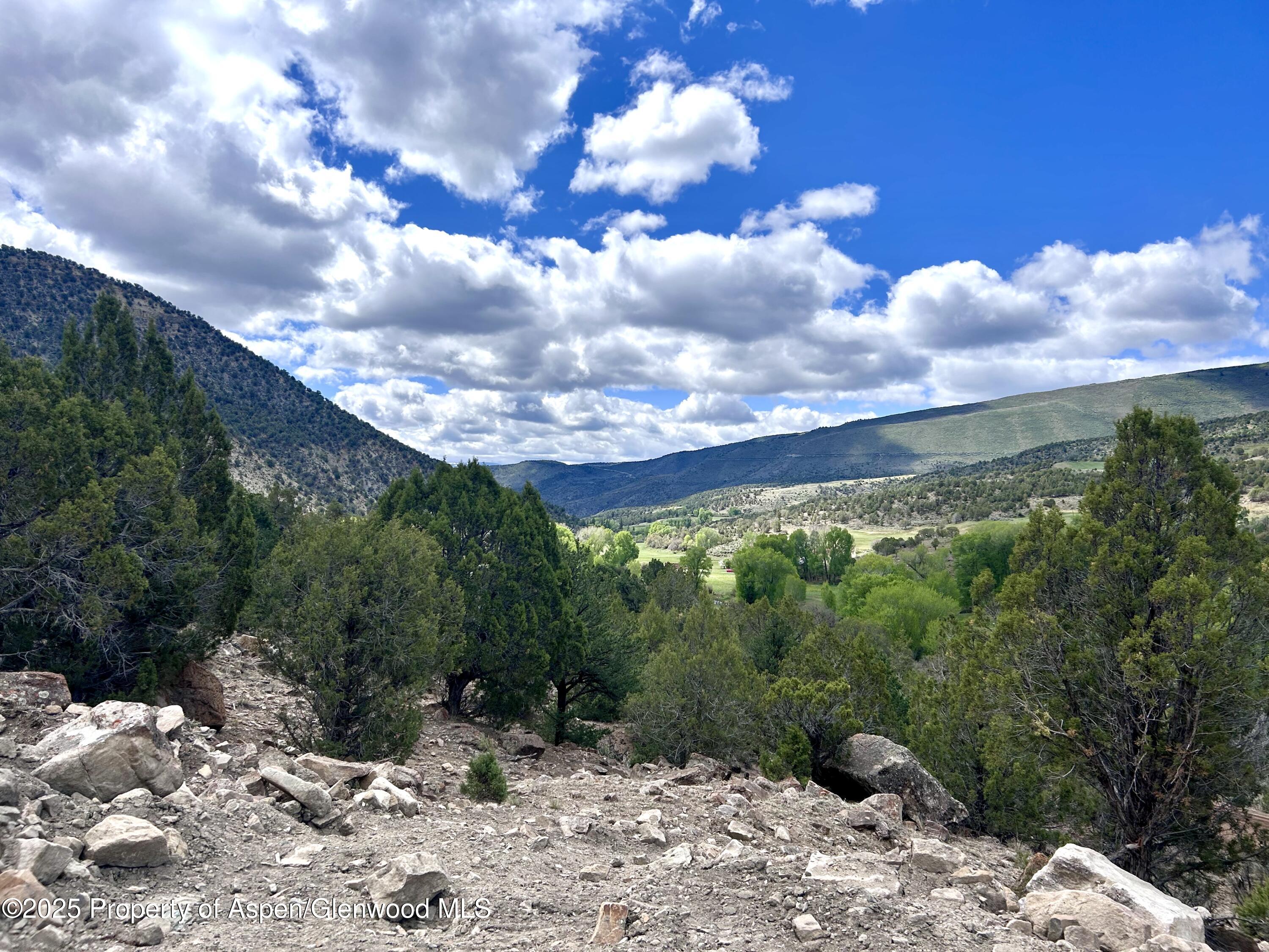 a view of a bunch of trees