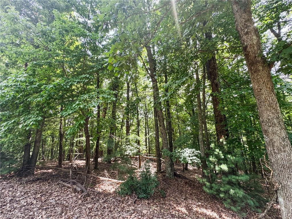 Tbd Spencer Ridge Road McGrady, NC 28649 - Photo 13 of 23 Gallery Image 13