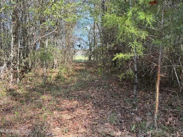 $449,500 | 4110 Attala Street, Sallis, MS 39160